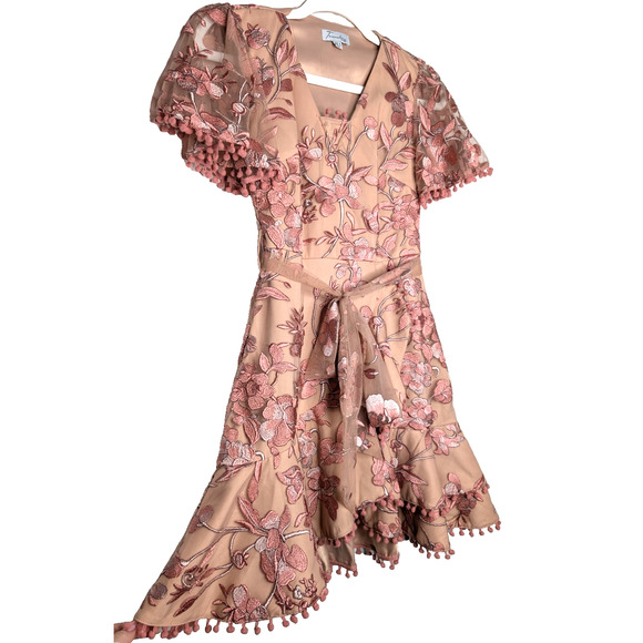 Two Sisters Pink Embroidered Floral Coquette Fairy Sheer Lace Ruffle Mini Dress - Picture 8 of 15